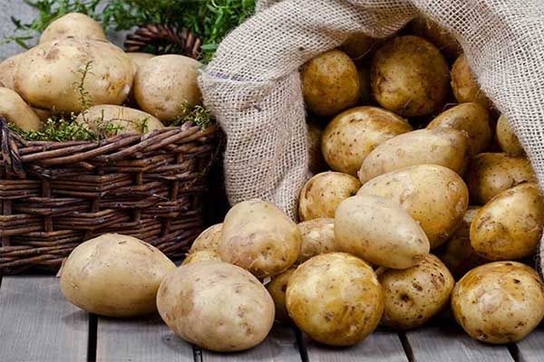 potato - じゃがいも