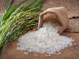 20kg Japan Rice AB PLUS Grade（ジャパンライス AB ＋グレード）[日本] 10kg X 2