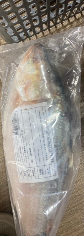 【冷凍】Hilsa（ヒルサ）【バングラデシュ】