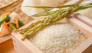 A Japan Rice (日本米) 10kg