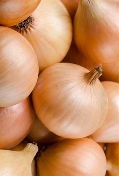 Onion - Hanh tay - 玉ねぎ