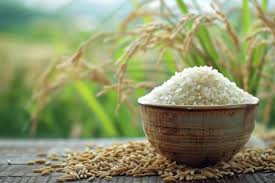 30kg Japan Rice AB PLUS Grade（ジャパンライス AB ＋グレード）[日本] 10kg X 3