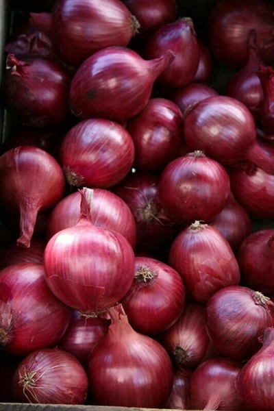 Red Onion Big（レッド オニオン ビッグ / 赤玉ねぎ）【ネパール】,1kg
